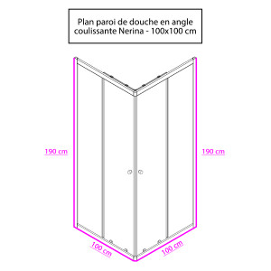 Porte de douche d'angle avec 2 coulissants NERINA - 100x100 cm 