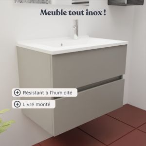 Meuble vasque tout inox ROSINOX 70 cm avec miroir Elégance ht80 - Gris mat