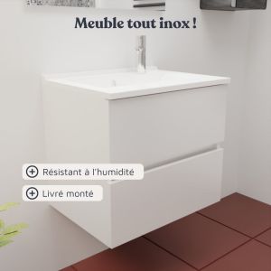 Meuble vasque tout inox ROSINOX 60 cm avec miroir Elégance ht80 - Blanc mat