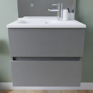 Meuble salle de bain suspendu 60 cm ROSALY INOX Meuble salle de bain suspendu tout inox 60 cm avec plan vasque résine ROSINOX - Gris Mat