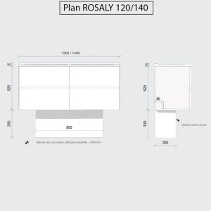 Meuble salle de bain double vasque suspendu 140 cm avec plan vasque ROSALY