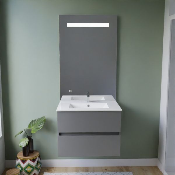 Meuble salle de bain inox ROSINOX 70 cm gris avec plan vasque céramique + miroir Elégance ht105