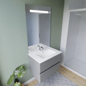 Meuble salle de bain inox ROSINOX 70 cm gris avec plan vasque céramique + miroir Elégance ht105