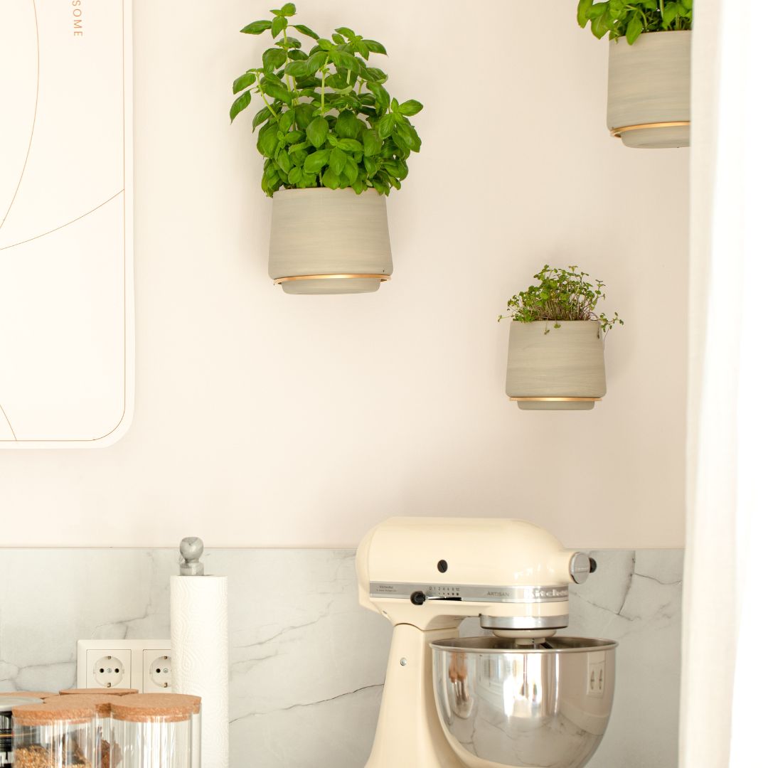 Décoration de cuisine avec petit pots de plantes aromatiques fixés au mur