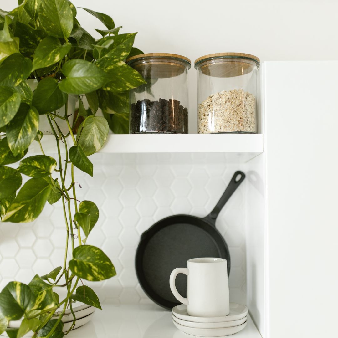 Plante verte disposée sur une étagère de cuisine avec des bocaux