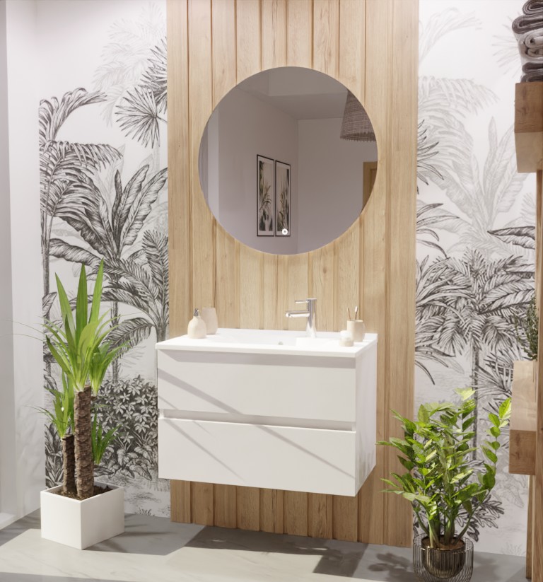 Meuble salle de bain en inox coloris blanc ROSINOX