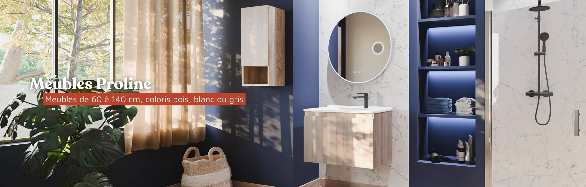 Meuble vasque de salle de bain_collection Proline_du 02/12/25 au 19/12/25